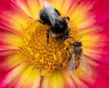 Canon EOS R6, 1/1000sec at f/9, ISO 12,800, hand-held