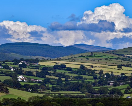 Cambrian-Mountains-at-harvest-time