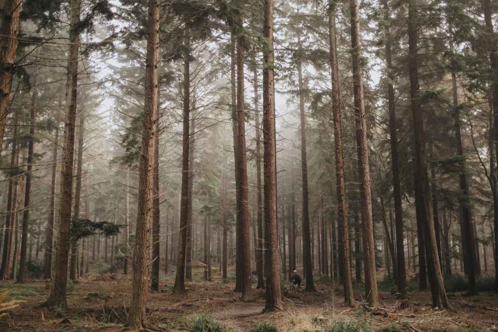 Fujifilm X100V Sample Image Copyright Michael Topham