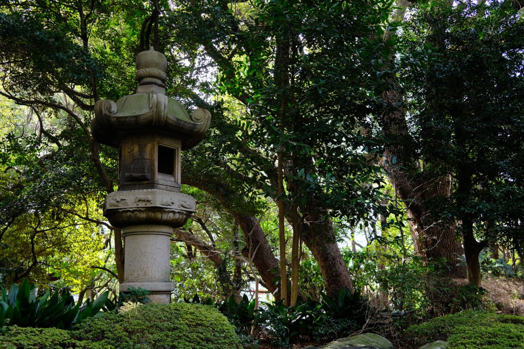 Fujifilm X100VI - Green garden scene - Velvia film simulation. Photo Joshua Waller