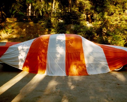 Joel Mayerowitz, a car on the street against a background of trees, covered with a red and white striped sheet