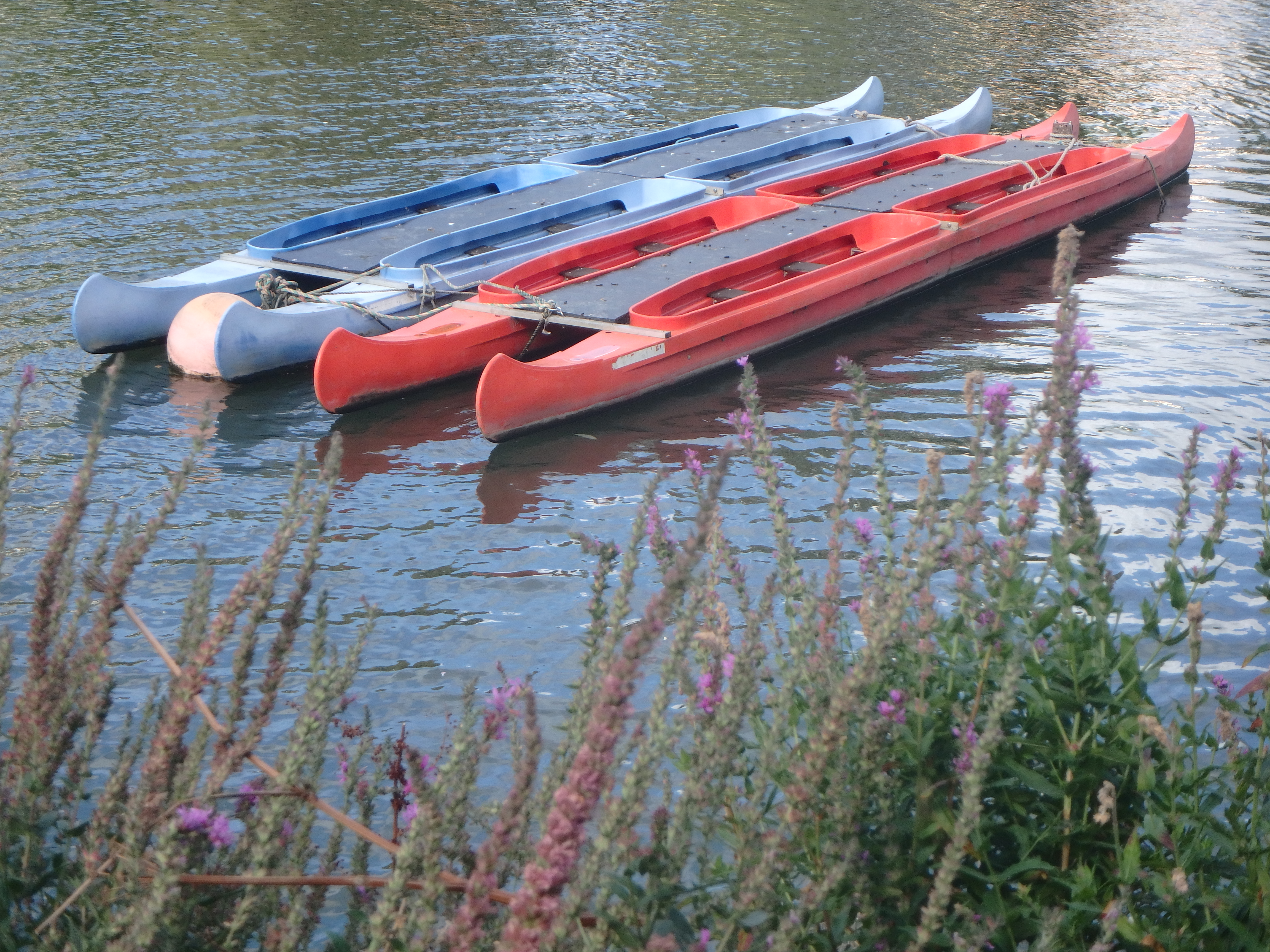 Compact camera. Image credit: Gavin Stoker