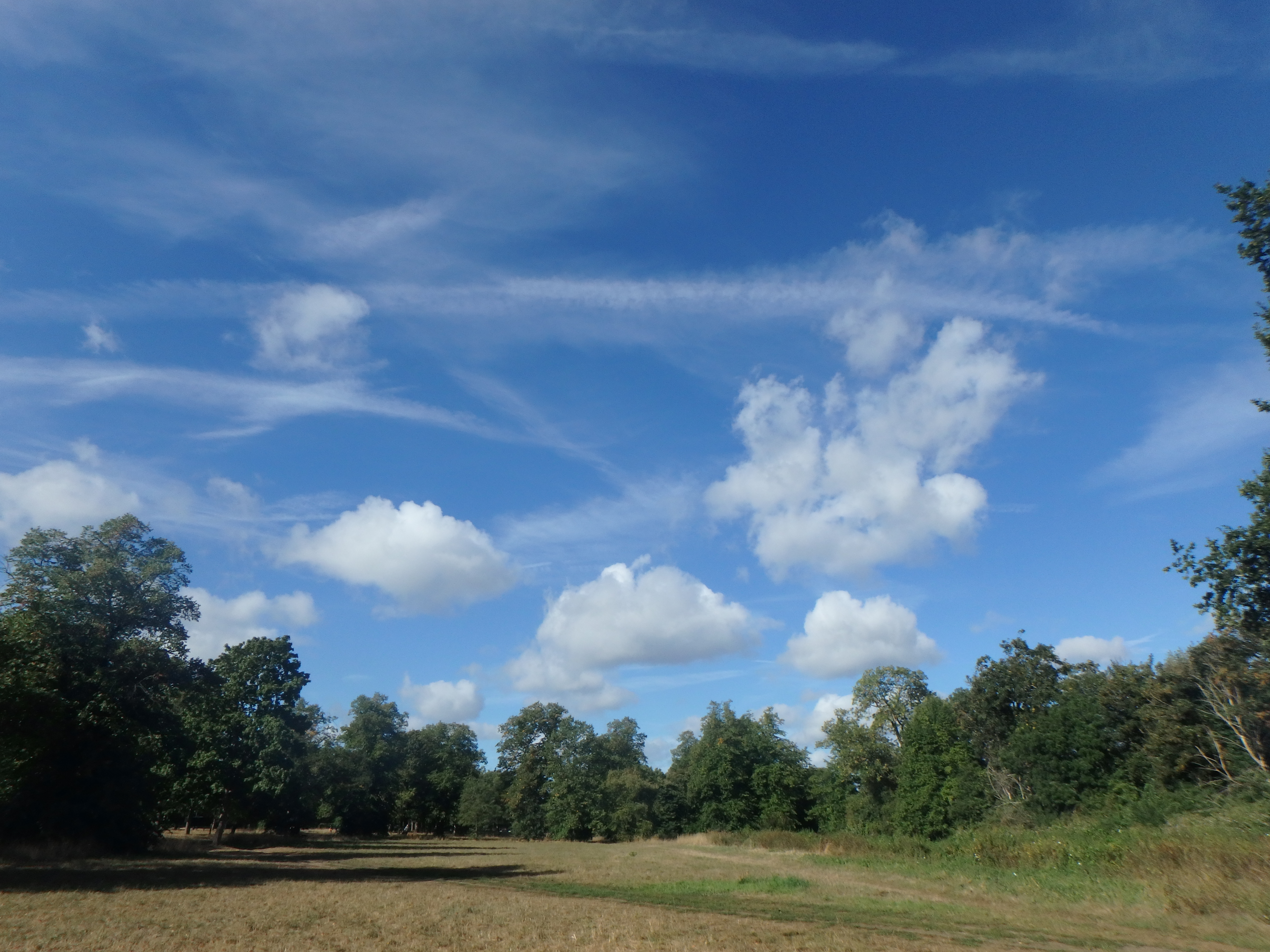 Compact camera. Image credit: Gavin Stoker