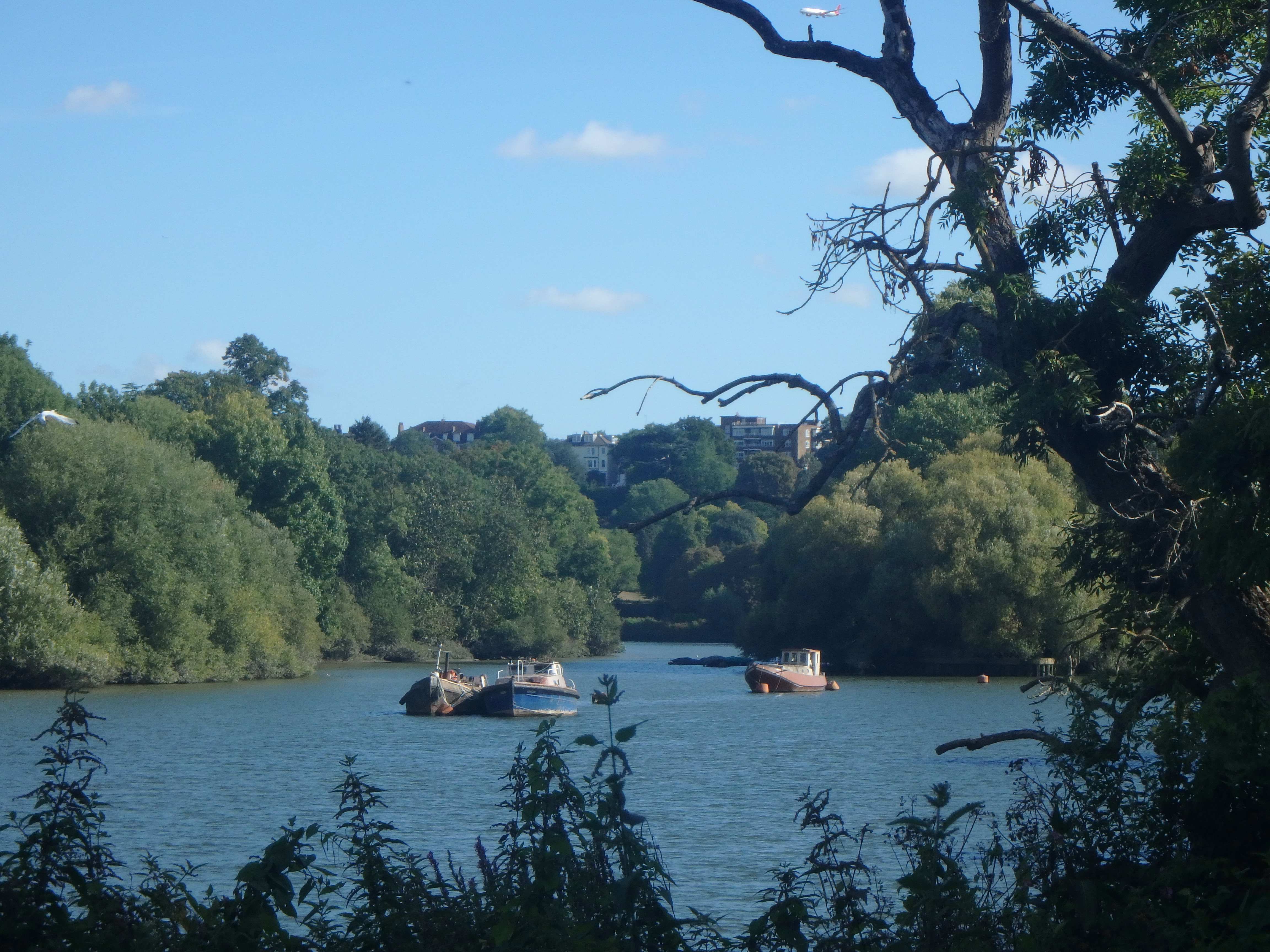 Compact camera. Image credit: Gavin Stoker