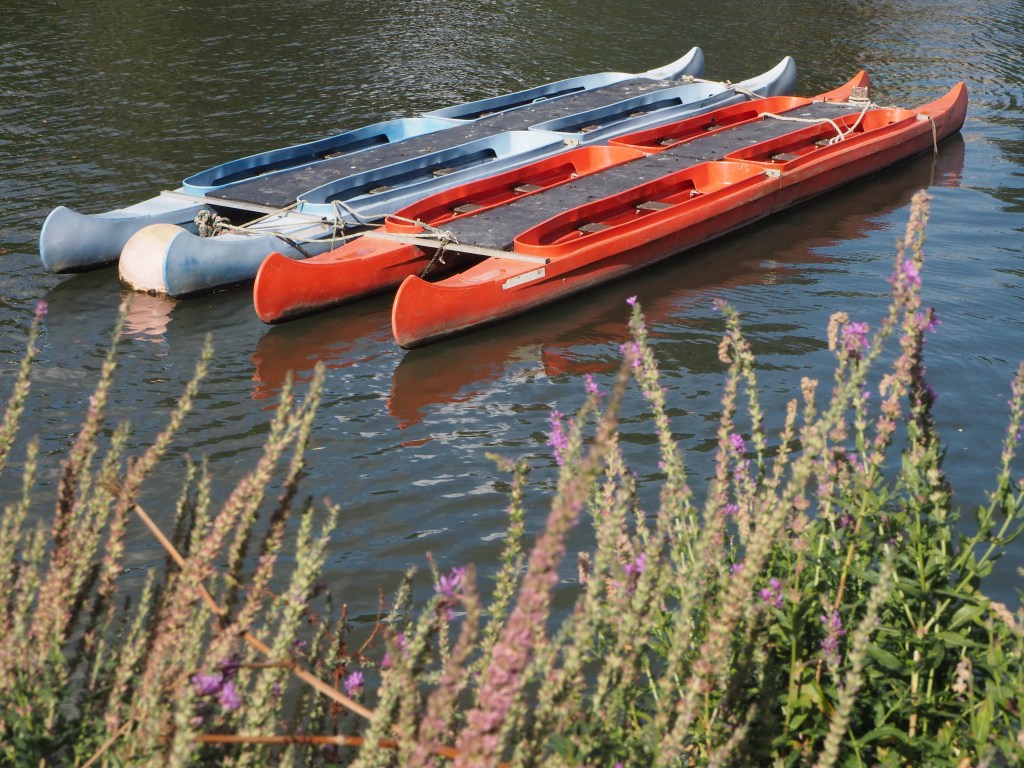 Mirrorless. Image credit: Gavin Stoker