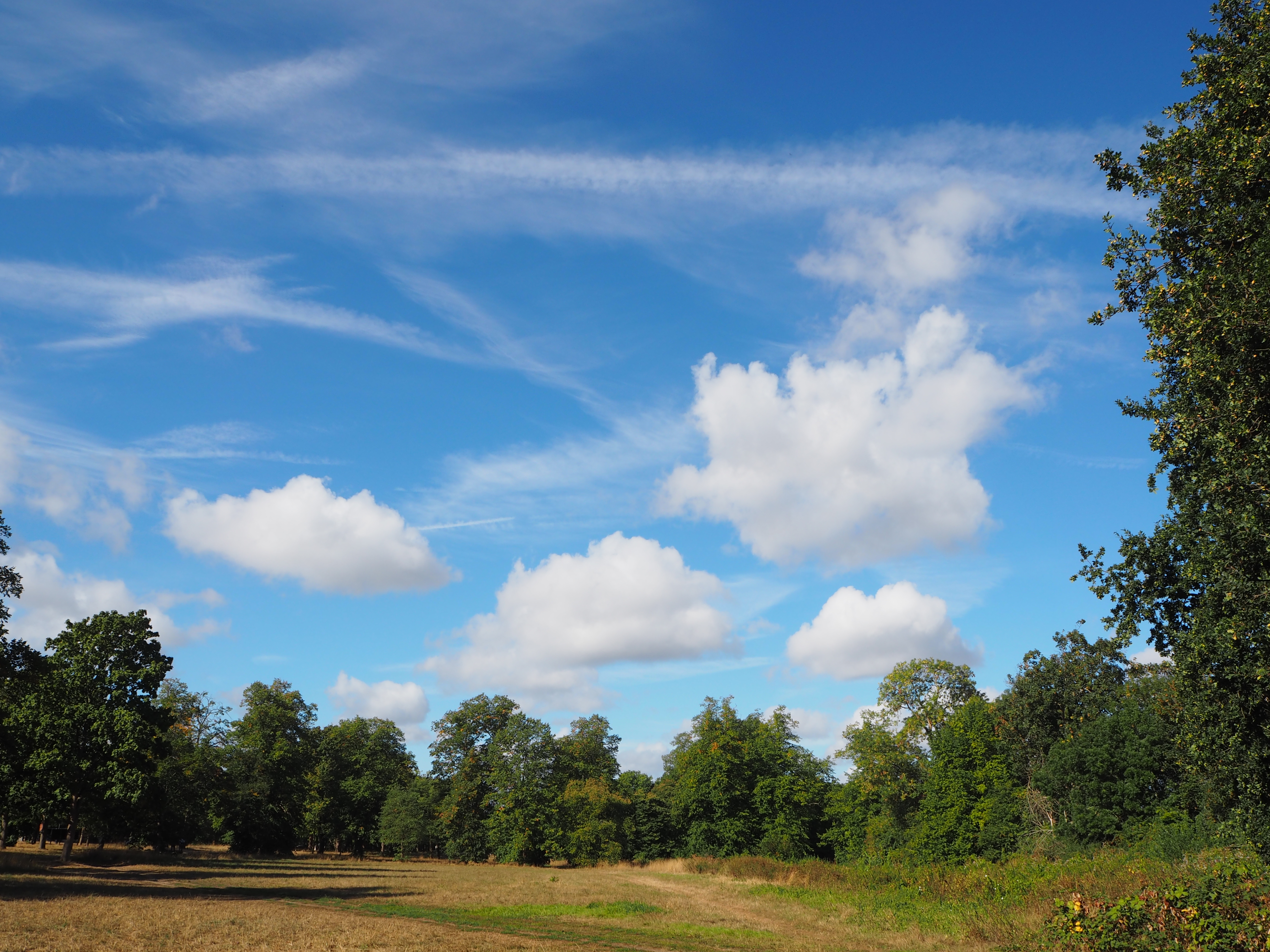Mirrorless. Image credit: Gavin Stoker