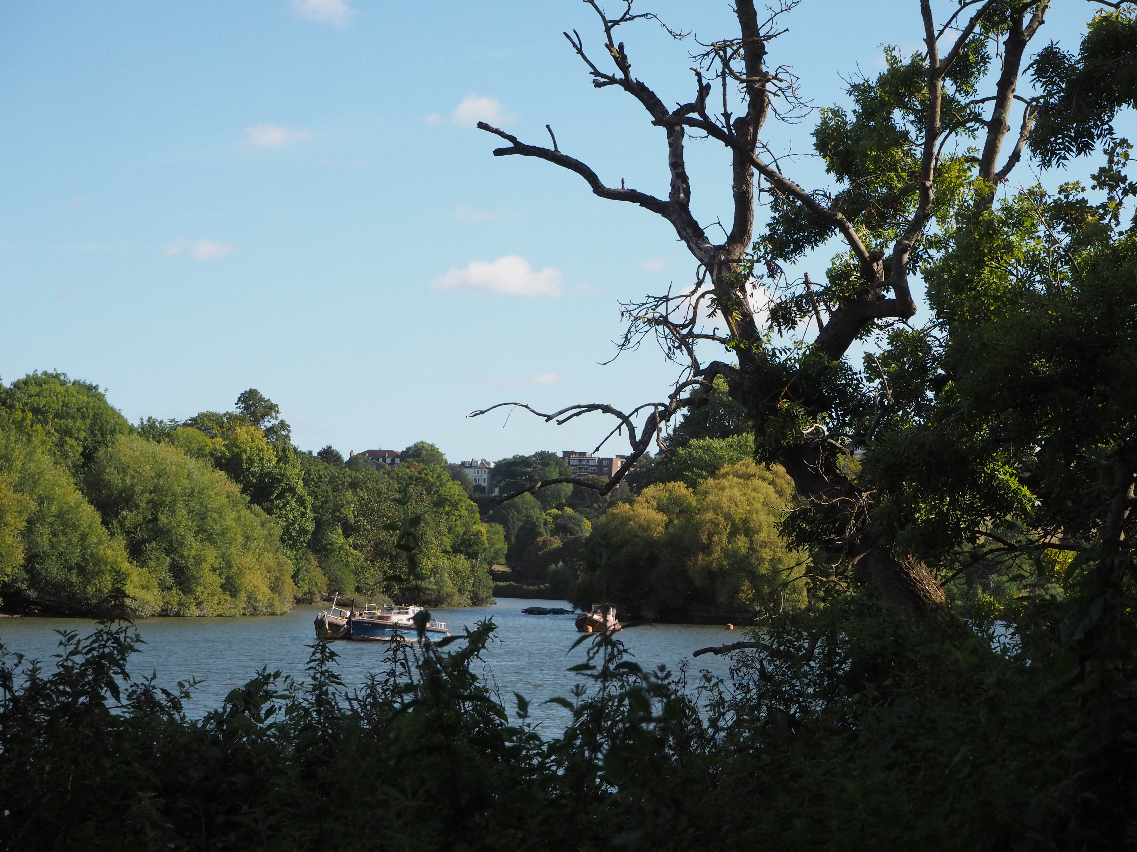 Mirrorless. Image credit: Gavin Stoker