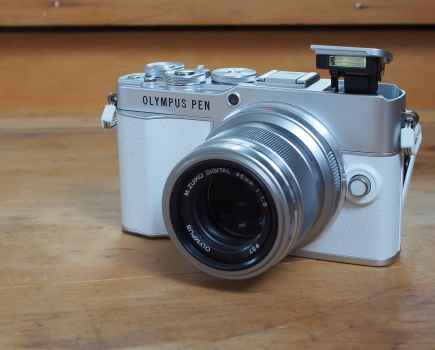 Olympus PEN E-P7 with pop-up flash and 45mm lens