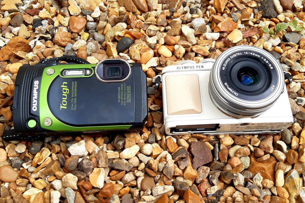 Image credit: Gavin Stoker