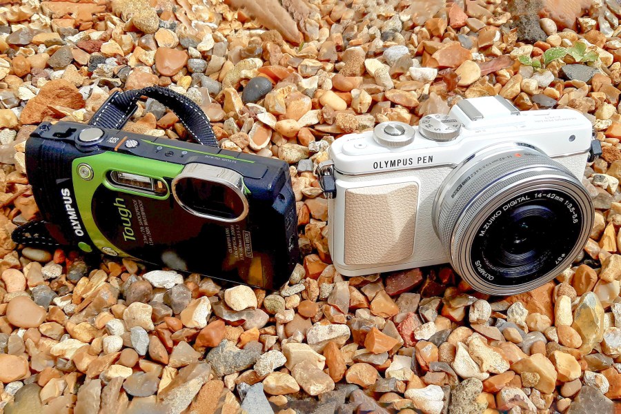 Image credit: Gavin Stoker