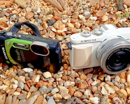 Image credit: Gavin Stoker