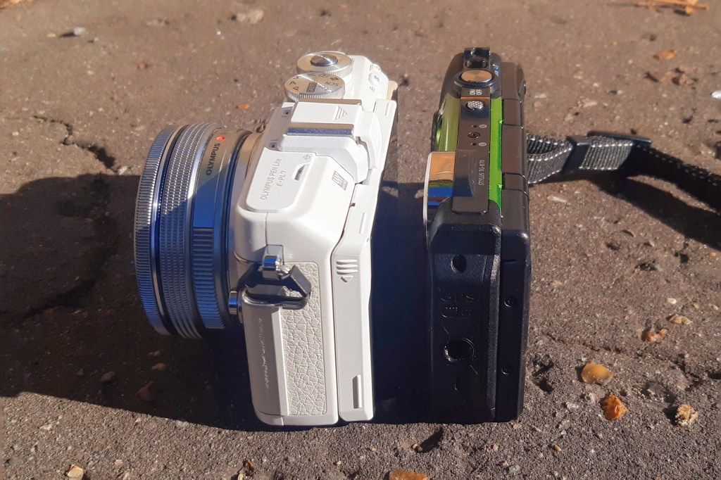 Image credit: Gavin Stoker