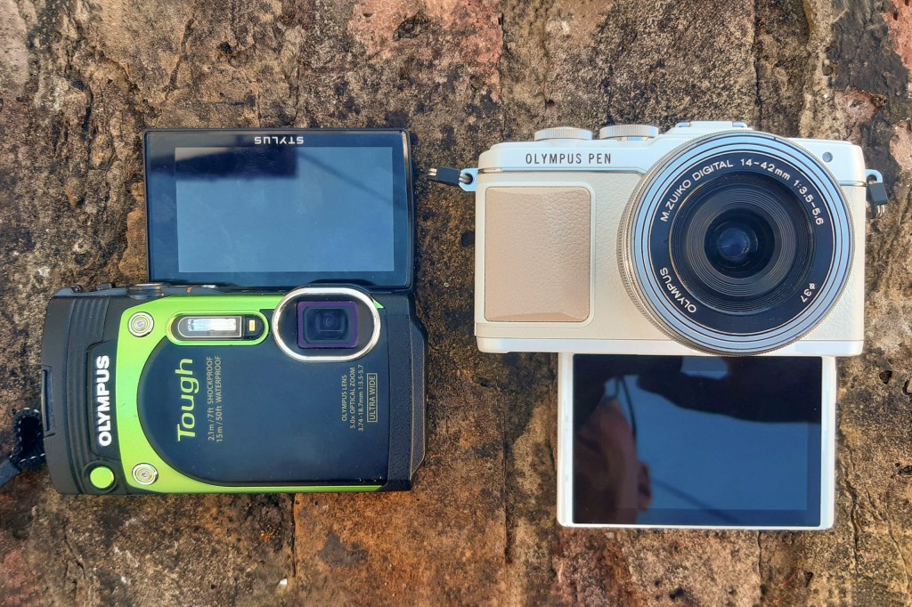 Image credit: Gavin Stoker