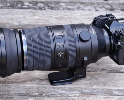 OM System 150-600mm F5-6.3 IS on Olympus OM-D E-M1 Mark III