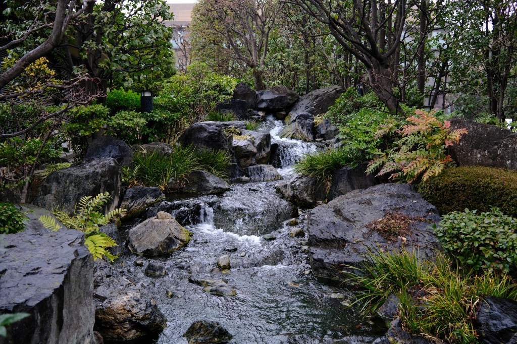 Waterfall, using Velvia film simulation. Photo Joshua Waller
