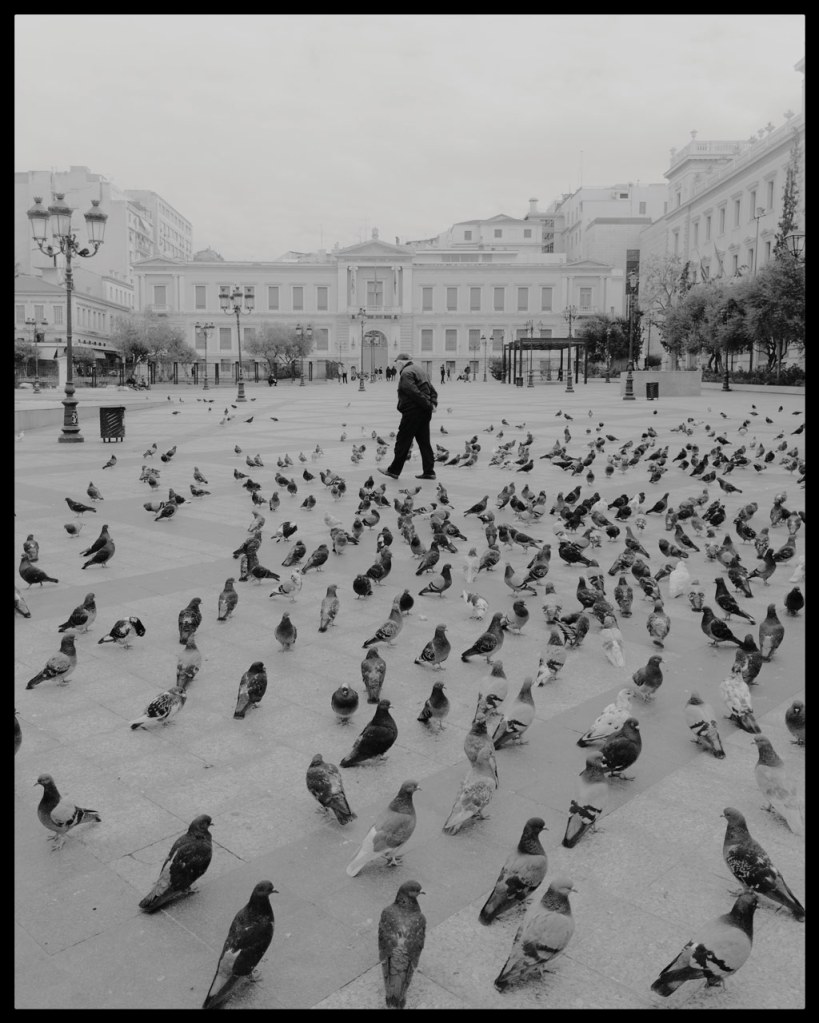 Black and white photo showing pigeons walking around in a city square with the lone figure of a person and buildings in the foreground. How to take great travel photos with a smartphone Zach Leon